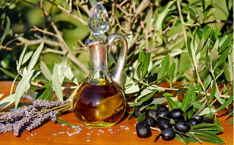 hemp oil plant